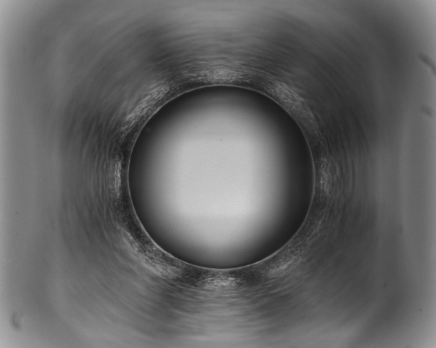 X0000101120206200806261444