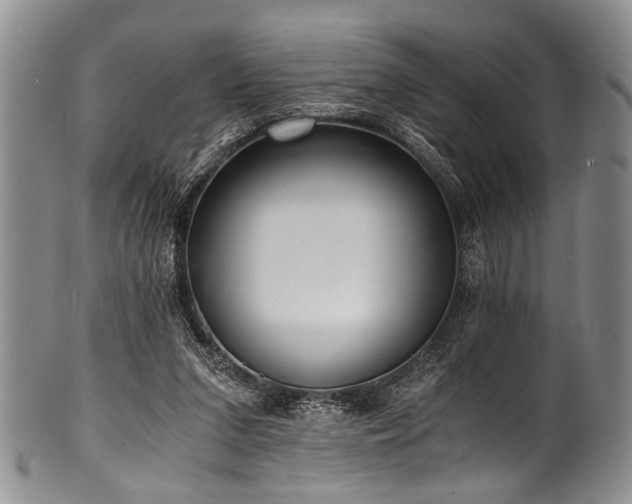 X0000101120207200806261444