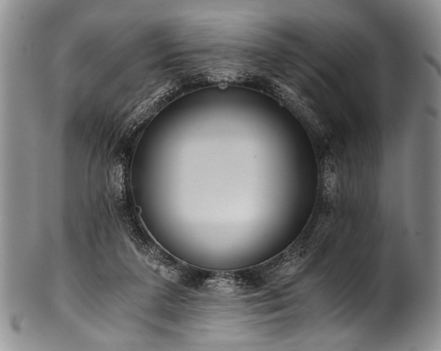 X0000101120211200806261444