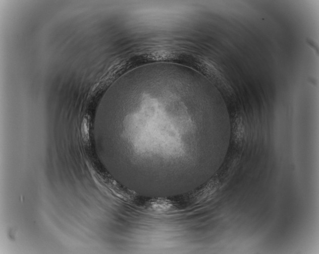 X0000101120214200806261444