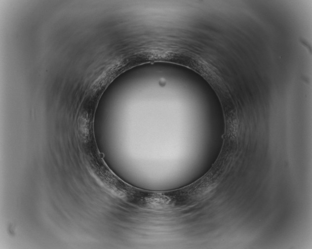 X0000101120215200806261444
