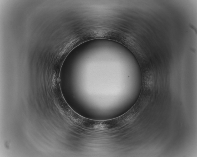 X0000101120216200806261444