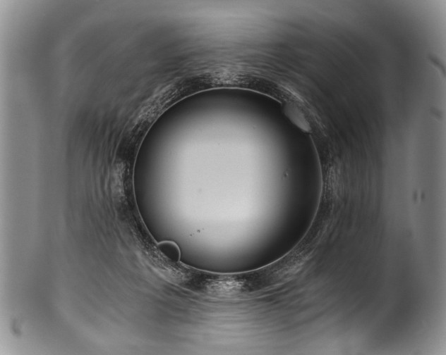 X0000101120217200806261444