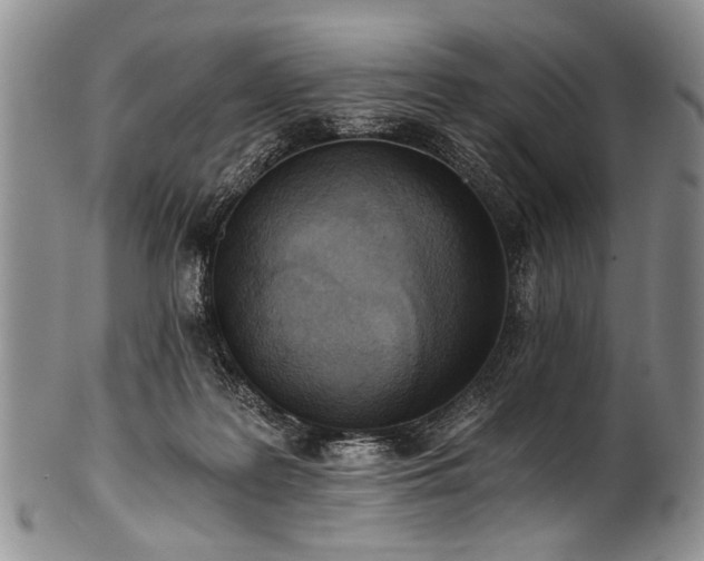 X0000101120219200806261444