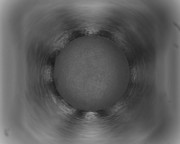 X0000101120222200806261444