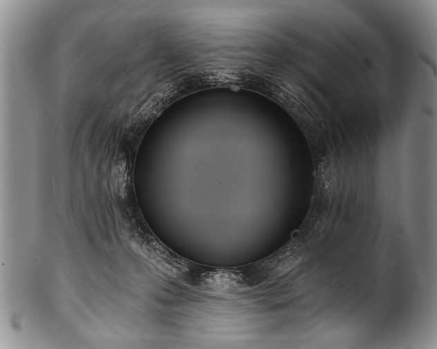 X0000101120223200806261444