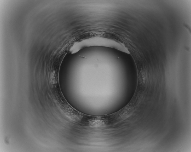 X0000101120224200806261444