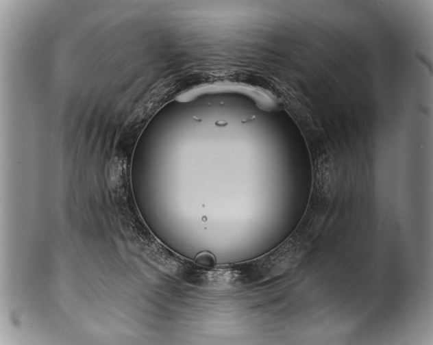 X0000101120225200806261444