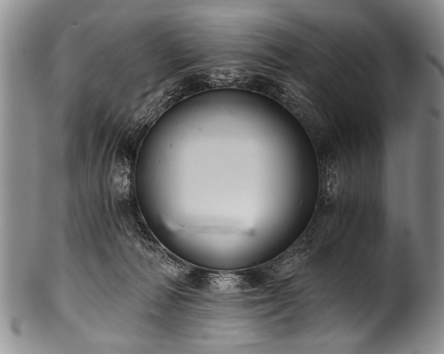 X0000101120226200806261444