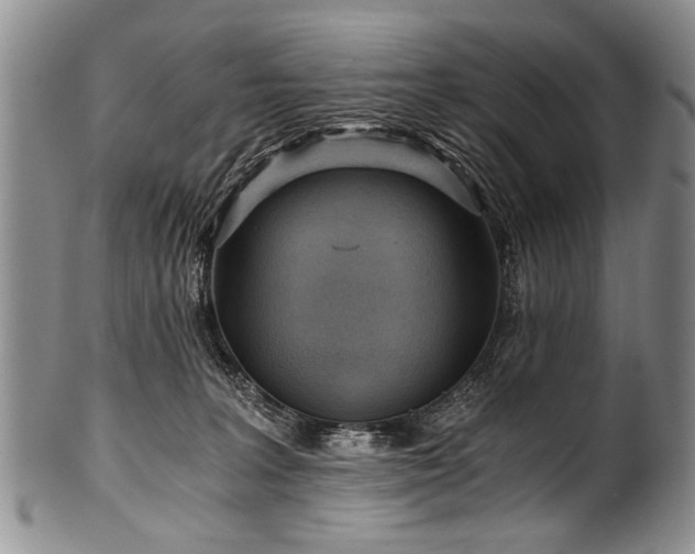 X0000101120227200806261444