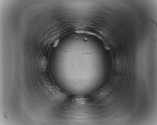 X0000101120228200806261444