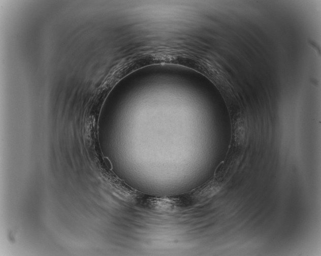 X0000101120229200806261444