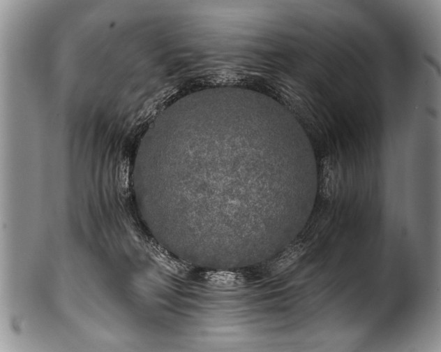 X0000101120230200806261444