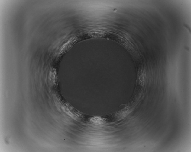X0000101120231200806261444