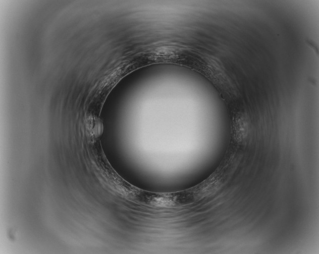 X0000101120232200806261444