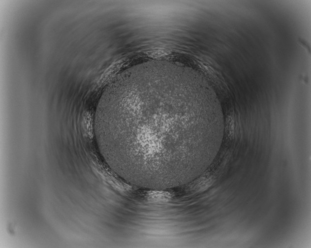 X0000101120234200806261444