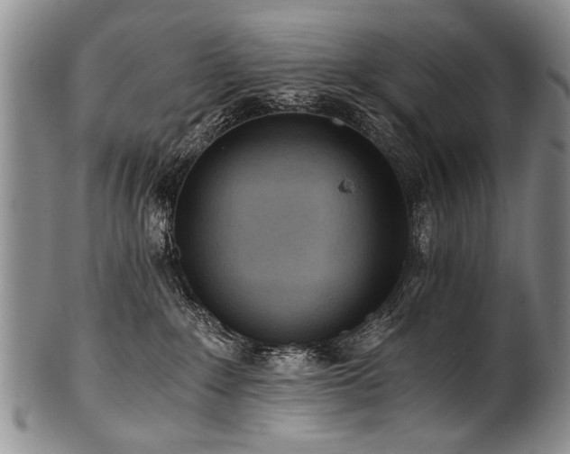 X0000101120235200806261443