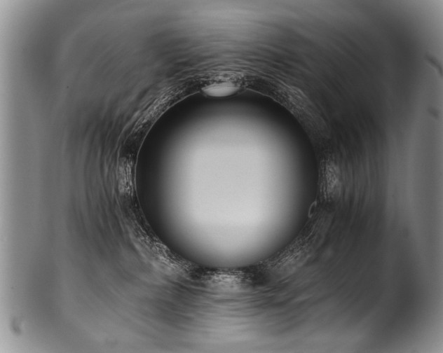 X0000101120236200806261443