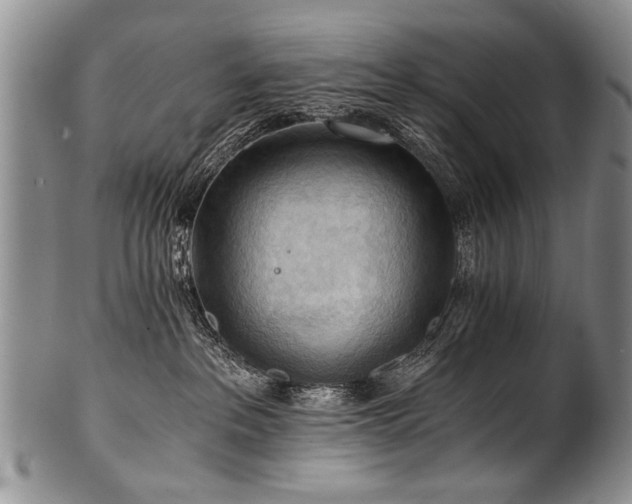 X0000101120237200806261443