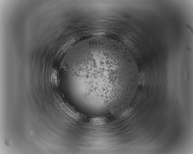 X0000101120238200806261443