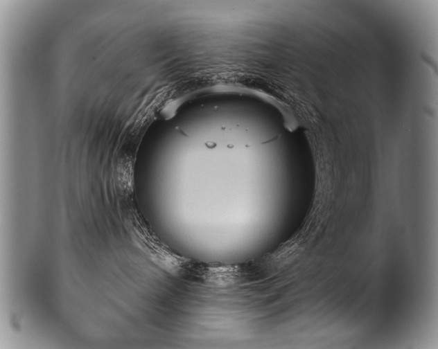 X0000101120240200806261443