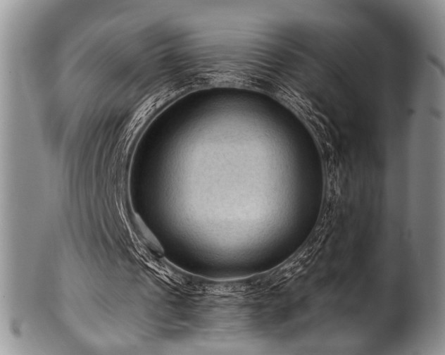 X0000101120241200806261443