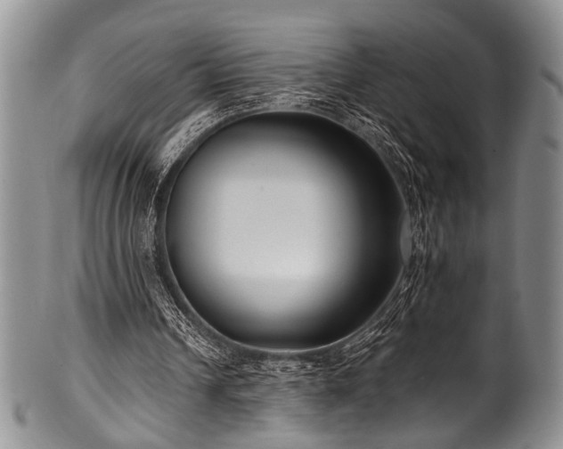 X0000101120242200806261443