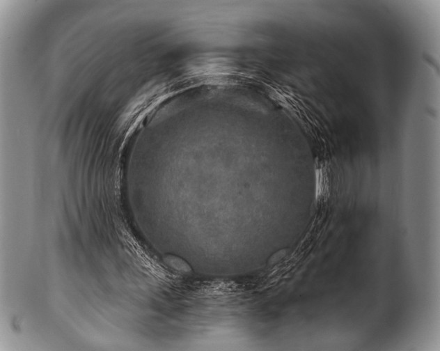 X0000101120243200806261443