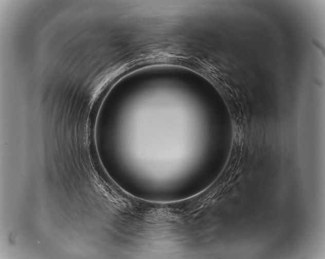 X0000101120244200806261443