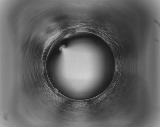 X0000101120245200806261443
