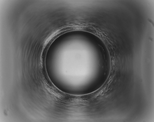 X0000101120246200806261443