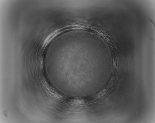 X0000101120247200806261443