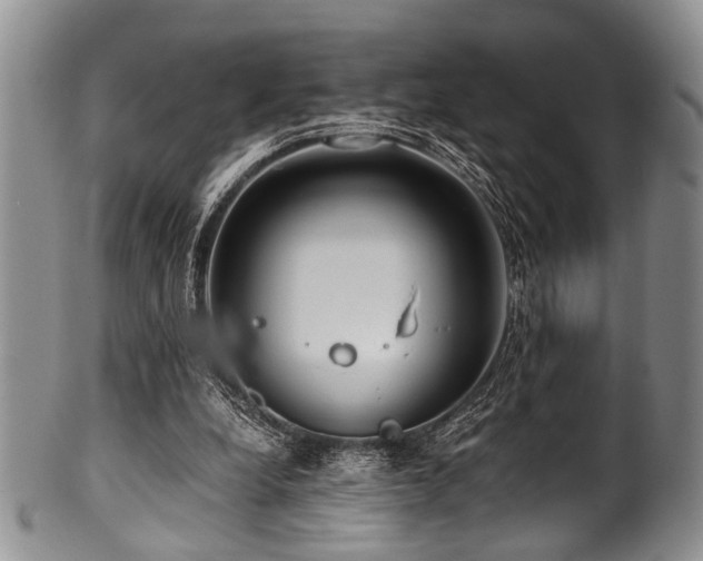 X0000101120248200806261443