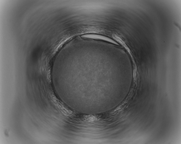 X0000101120249200806261443