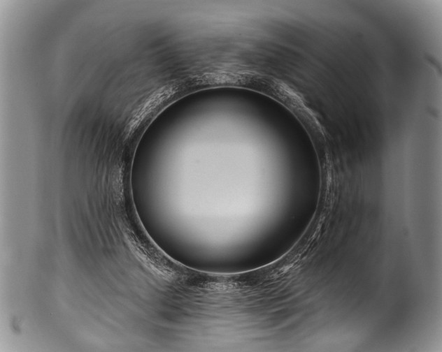 X0000101120250200806261443