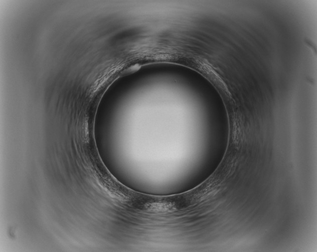 X0000101120251200806261443