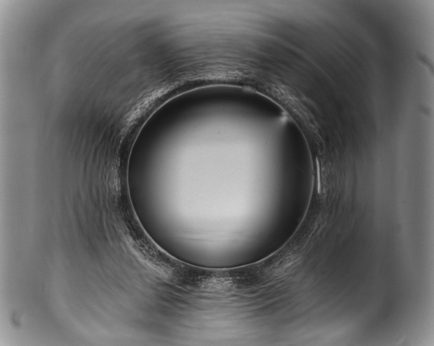 X0000101120252200806261443