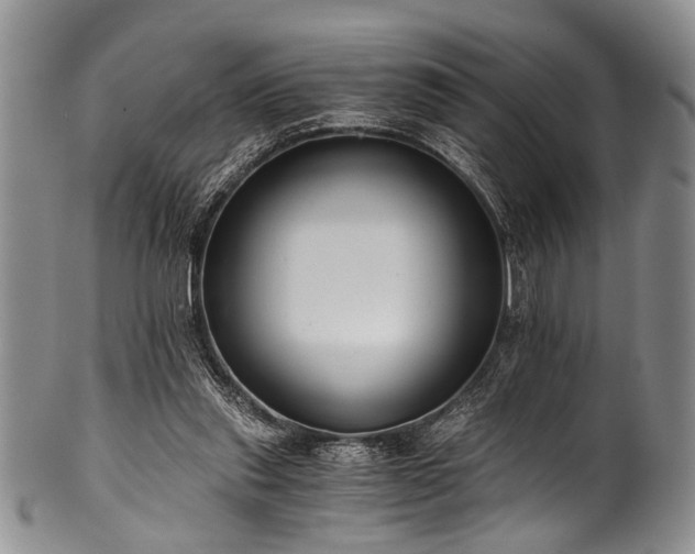 X0000101120253200806261443