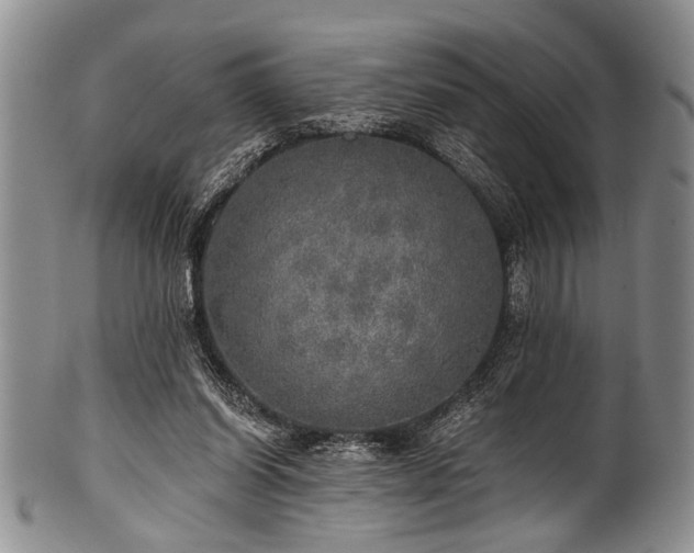 X0000101120254200806261443