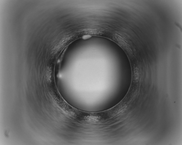 X0000101120255200806261443