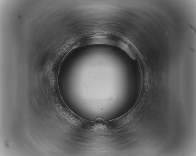 X0000101120257200806261443