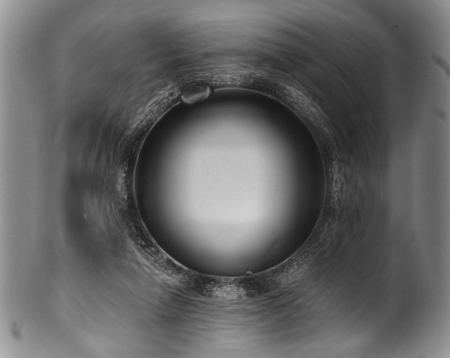 X0000101120258200806261443