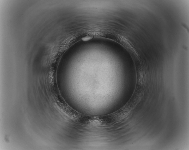 X0000101120259200806261443