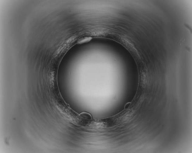X0000101120260200806261443