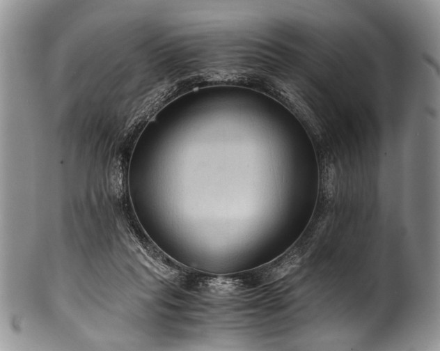 X0000101120261200806261443