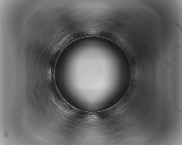 X0000101120262200806261443