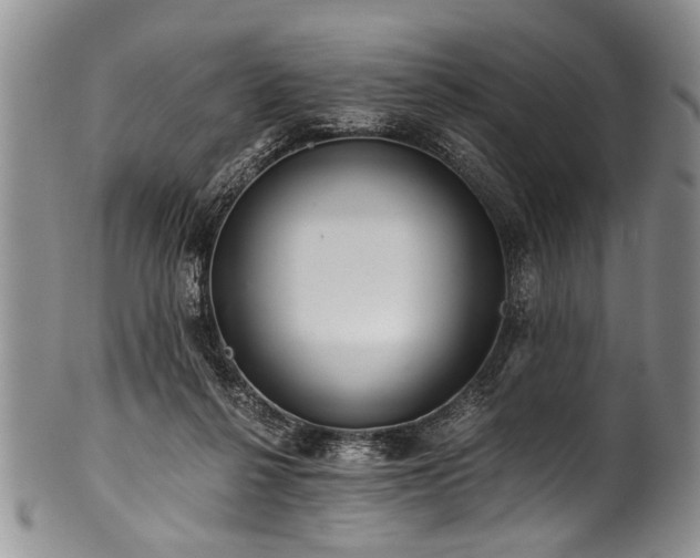 X0000101120264200806261443