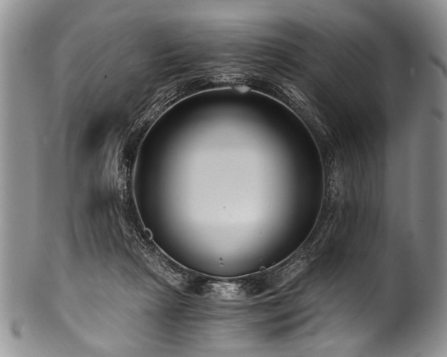 X0000101120265200806261443