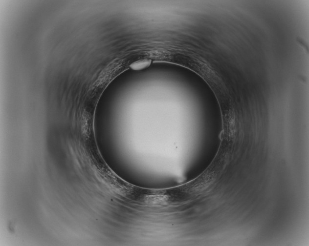 X0000101120266200806261443