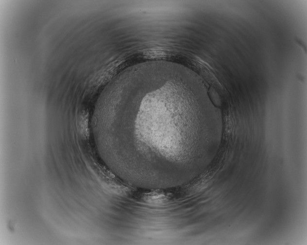X0000101120267200806261443